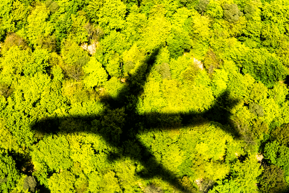 Flugzeug-Schatten-Wald