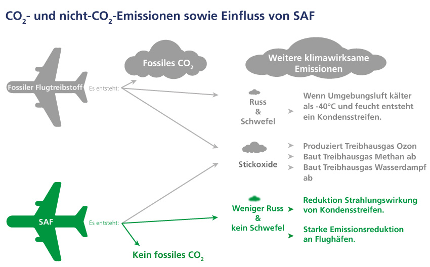 SAF-vergleich