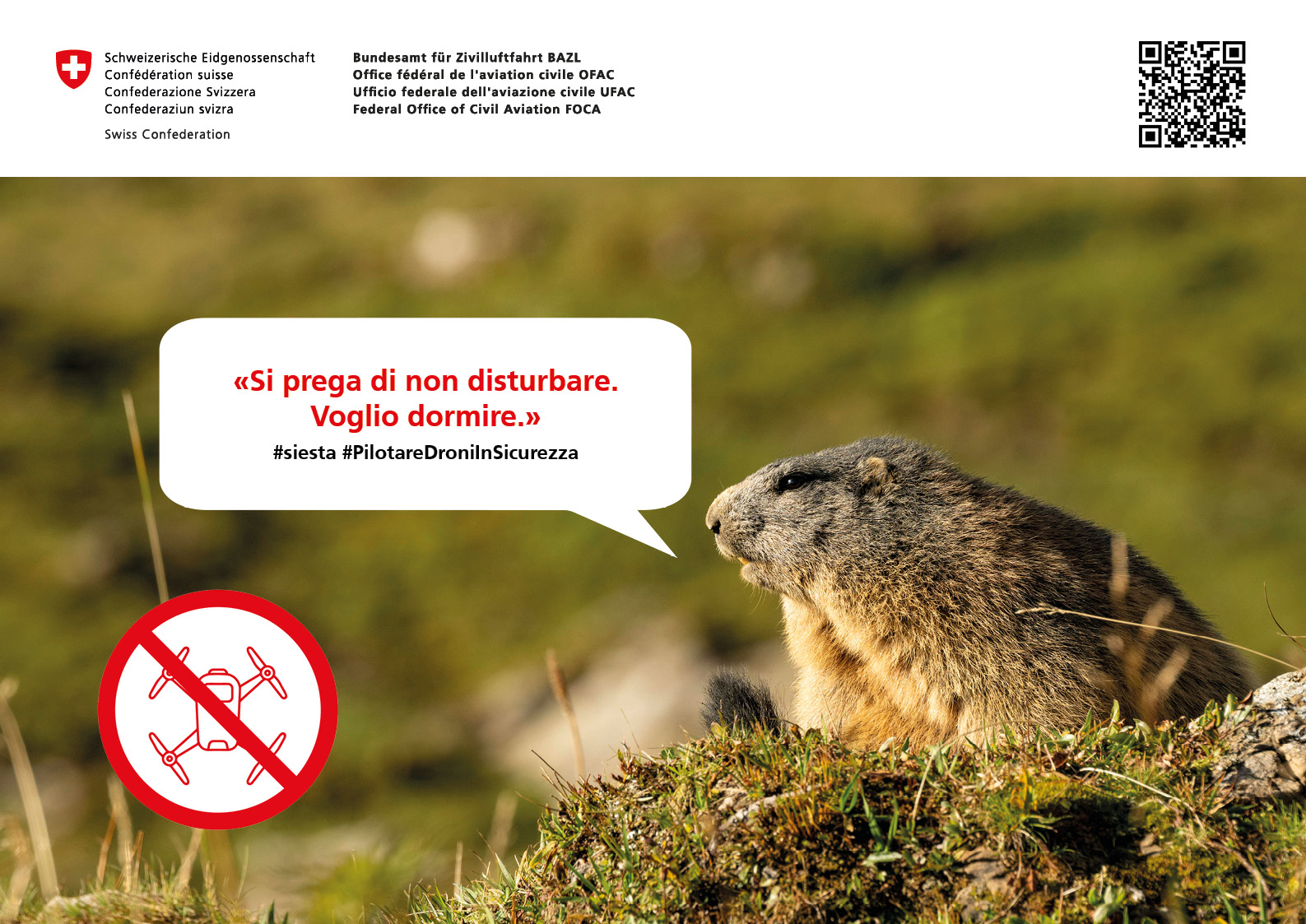 Si prega di non disturbare. Voglio dormire. - #PilotareDroniInSicurezza