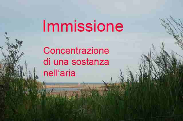Immissione